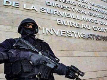 WhatsApp Image 2024-11-22 at 08.30.11