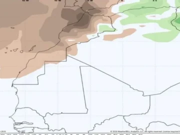 d1b869d1-8416-45c3-96bd-d9f3137c5abd