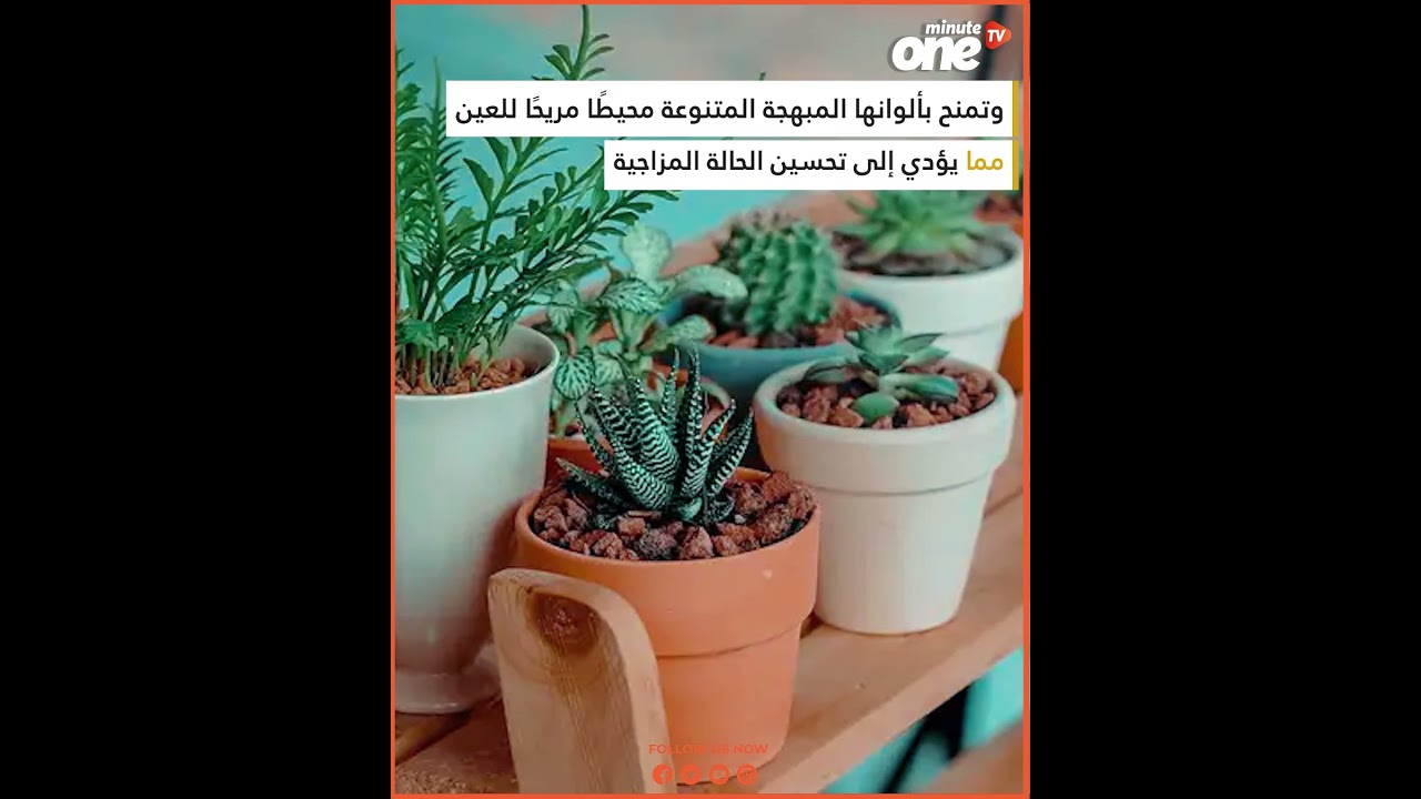 التحميل المسبق صورة