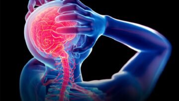 main_image616408869430b