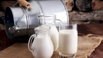 ما_هو_الحليب_المبستر