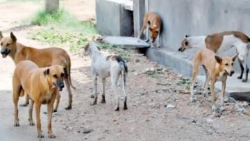 15-12-2021_13_13_11_GomhuriaOnline_9871639566791