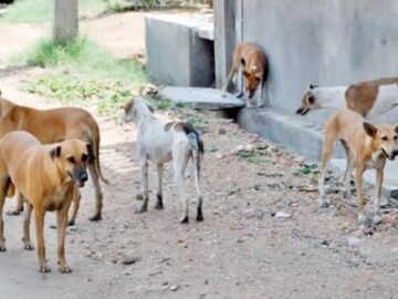 15-12-2021_13_13_11_GomhuriaOnline_9871639566791