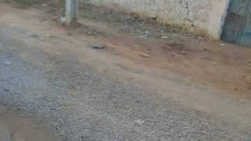 468313064_546925351580784_8965026949992236022_n