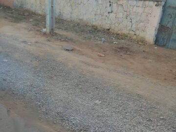 468313064_546925351580784_8965026949992236022_n