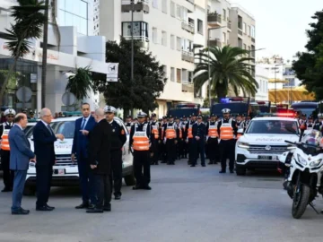 55687690a78f20fc08a1cc5c54834cc1-1671534295