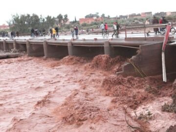 xr:d:DADw42UX86o:6518,j:4168490627626318843,t:23111411