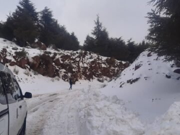 RnXu0bg5ICYV6pWbjfoN9bAvAbZ3VpAte9OyEBn0