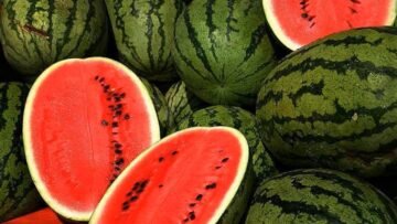 https___cloudfront-eu-central-1.images.arcpublishing.com_le360_JZFJDJJRUJCRZDHN6WC7LCBWOI