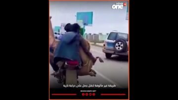 خاص: [ID: jvjE3mnCeO8] Youtube Automatic