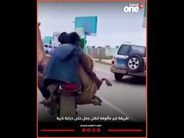 خاص: [ID: jvjE3mnCeO8] Youtube Automatic