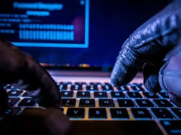 image_870x_6750402235e27