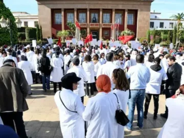 image_870x_6772f358f1ca8