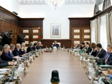 وزير-العدل-عبد-اللطيف-وهبي-أمام-مجلس-الحكومة،x560