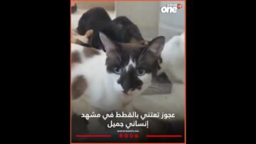 خاص: [ID: w2GnvdyBR4c] Youtube Automatic