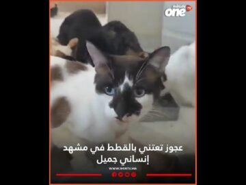 خاص: [ID: w2GnvdyBR4c] Youtube Automatic