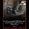 خاص: [ID: s5EBpfX7FaQ] Youtube Automatic