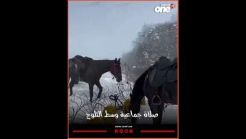 خاص: [ID: VFictKfl7vI] Youtube Automatic