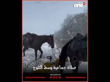 خاص: [ID: VFictKfl7vI] Youtube Automatic