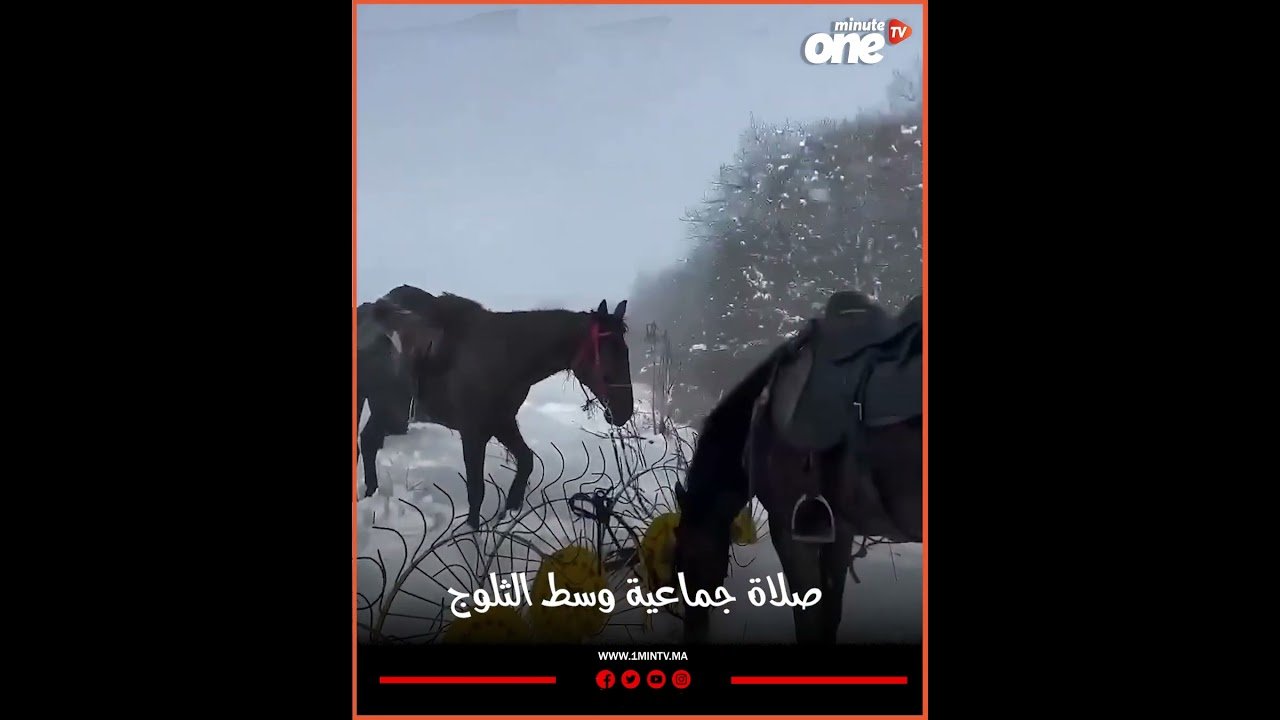 التحميل المسبق صورة