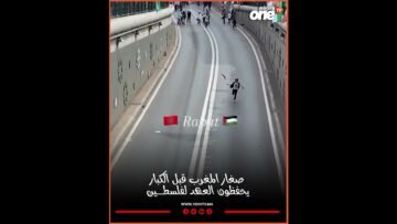 خاص: [ID: C2qe0g7jgDY] Youtube Automatic