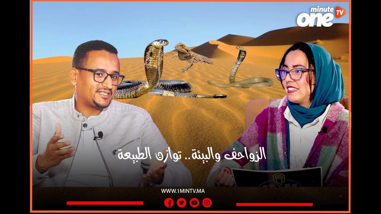 التحميل المسبق صورة