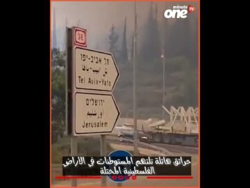 خاص: [ID: Zjon4jT7LVc] Youtube Automatic