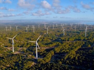 WhatsApp Image 2025-05-07 at 11.51.02