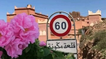 WhatsApp Image 2025-05-08 at 12.12.18