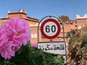 WhatsApp Image 2025-05-08 at 12.12.18