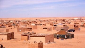 WhatsApp Image 2025-05-09 at 11.49.56