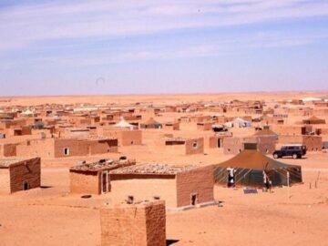 WhatsApp Image 2025-05-09 at 11.49.56