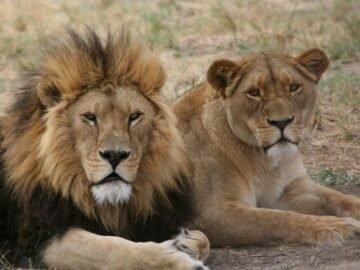 WhatsApp Image 2025-05-12 à 12.09.39_5807c152