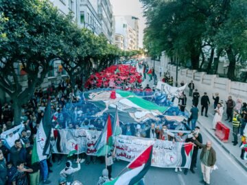 WhatsApp Image 2025-05-12 at 12.31.38