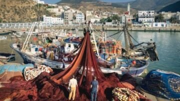 WhatsApp Image 2025-05-14 at 11.50.23