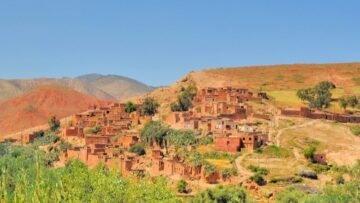 WhatsApp Image 2025-05-16 at 11.54.02