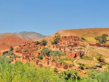 WhatsApp Image 2025-05-16 at 11.54.02