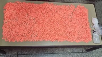 WhatsApp Image 2025-05-19 at 12.21.42