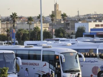 WhatsApp Image 2025-05-19 at 12.54.40