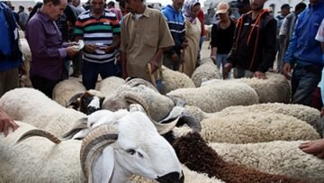 WhatsApp Image 2025-05-27 at 12.36.02