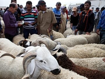 WhatsApp Image 2025-05-27 at 12.36.02