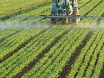 الزراعة-الربيعية