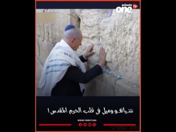 خاص: [ID: 7MqMAZE_rfs] Youtube Automatic