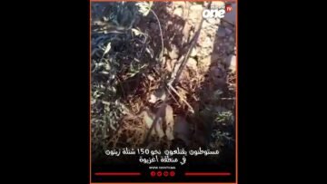 خاص: [ID: hO473N1LUtw] Youtube Automatic