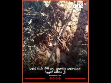 خاص: [ID: hO473N1LUtw] Youtube Automatic