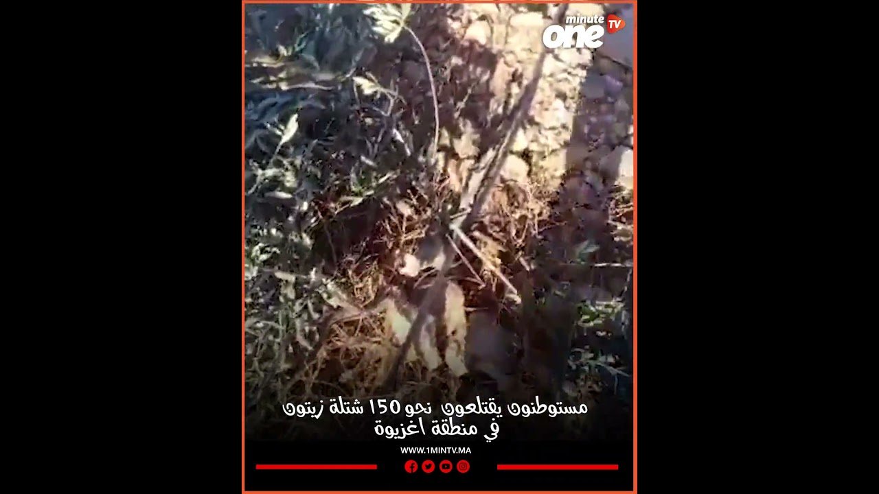 التحميل المسبق صورة