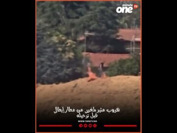 خاص: [ID: o8byMh-wmss] Youtube Automatic