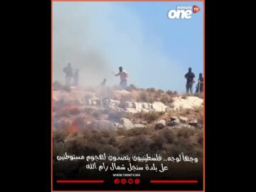 خاص: [ID: 63pR218biKE] Youtube Automatic