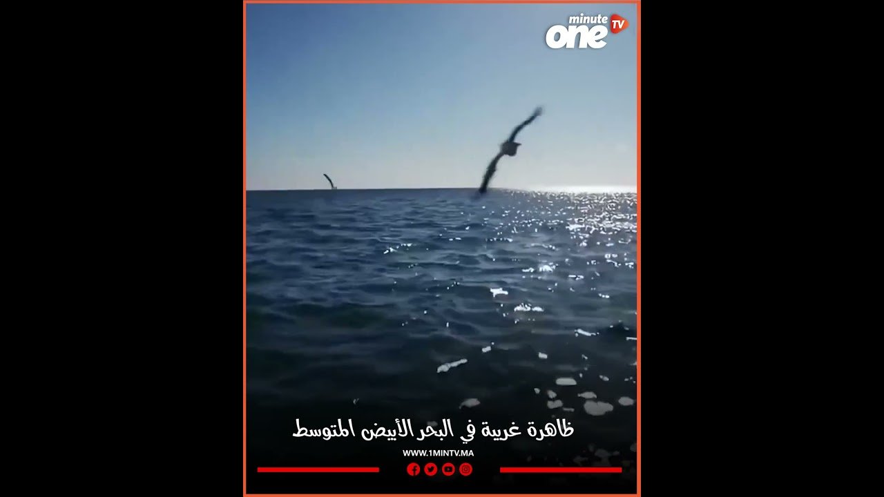 التحميل المسبق صورة