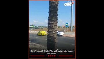 خاص: [ID: Lk4A1Ku8egU] Youtube Automatic